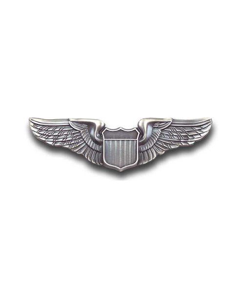 WW2 Orig popular Officer WINGS & 20th US Army Air Force Patch Usaaf WWii Pair Set Badge Insignia Metal Button Pin Pinback Wwii Squadron