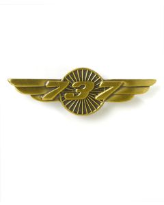 Boeing 737 Wings Pin