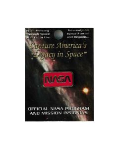 NASA Worm Pin