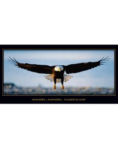 Cleared To Land Eagle Poster