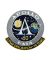 Apollo Program 50th Anniversary Patch