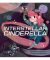 Interstellar Cinderella