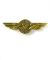 Boeing 737 Wings Pin