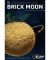 Brick Moon Metal Sign